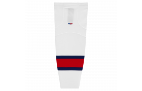 hs2100-765.png