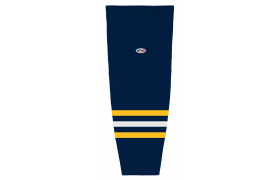hs2100-766.png