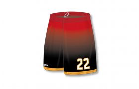 ZL901-DESIGN-LBS1018.jpg
