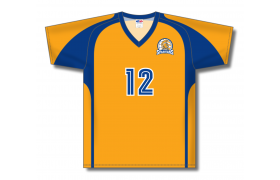 zv12-design-v1204_feat.png