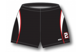 zvs101c-design-vs1229_feat.png